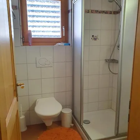 Orchis Apartment Ovronnaz